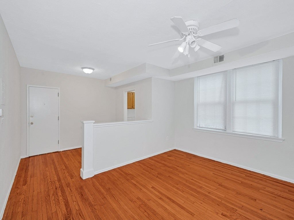 Gallery Photo 1